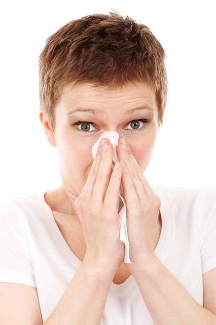 Bildquelle: https://pixabay.com/de/allergien-k%C3%A4lte-krankheit-grippe-18656/
